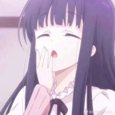 域虎EV